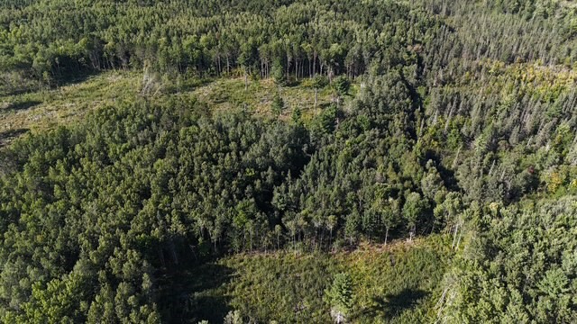 0 Mack Lake Road Property Photo 15