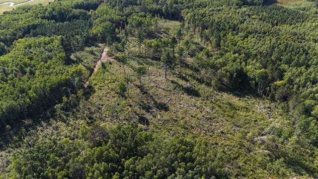 0 Mack Lake Road Property Photo 16