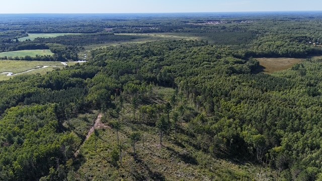 0 Mack Lake Road Property Photo 17