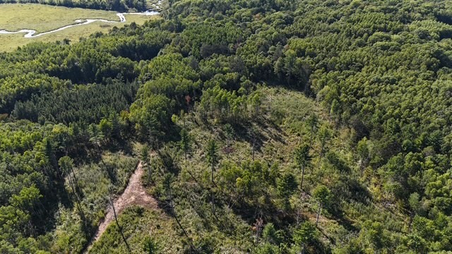 0 Mack Lake Road Property Photo 18