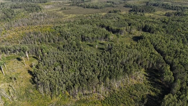 0 Mack Lake Road Property Photo 19