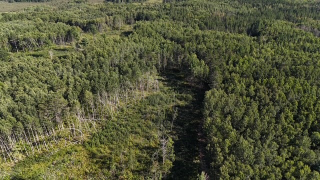 0 Mack Lake Road Property Photo 20