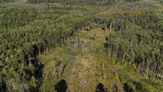 0 Mack Lake Road Property Photo 21
