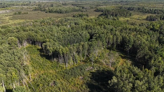 0 Mack Lake Road Property Photo 23