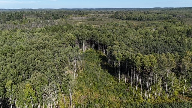 0 Mack Lake Road Property Photo 24