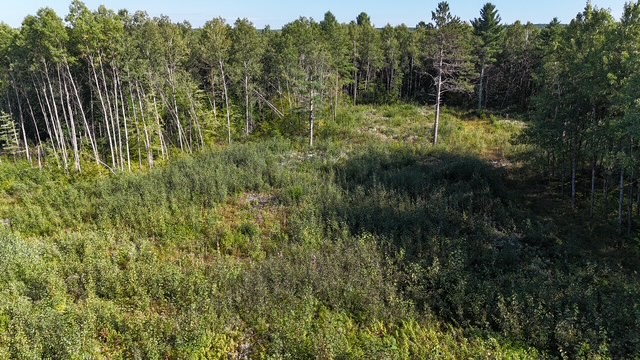 0 Mack Lake Road Property Photo 25