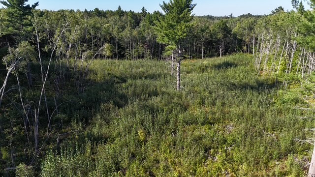 0 Mack Lake Road Property Photo 26