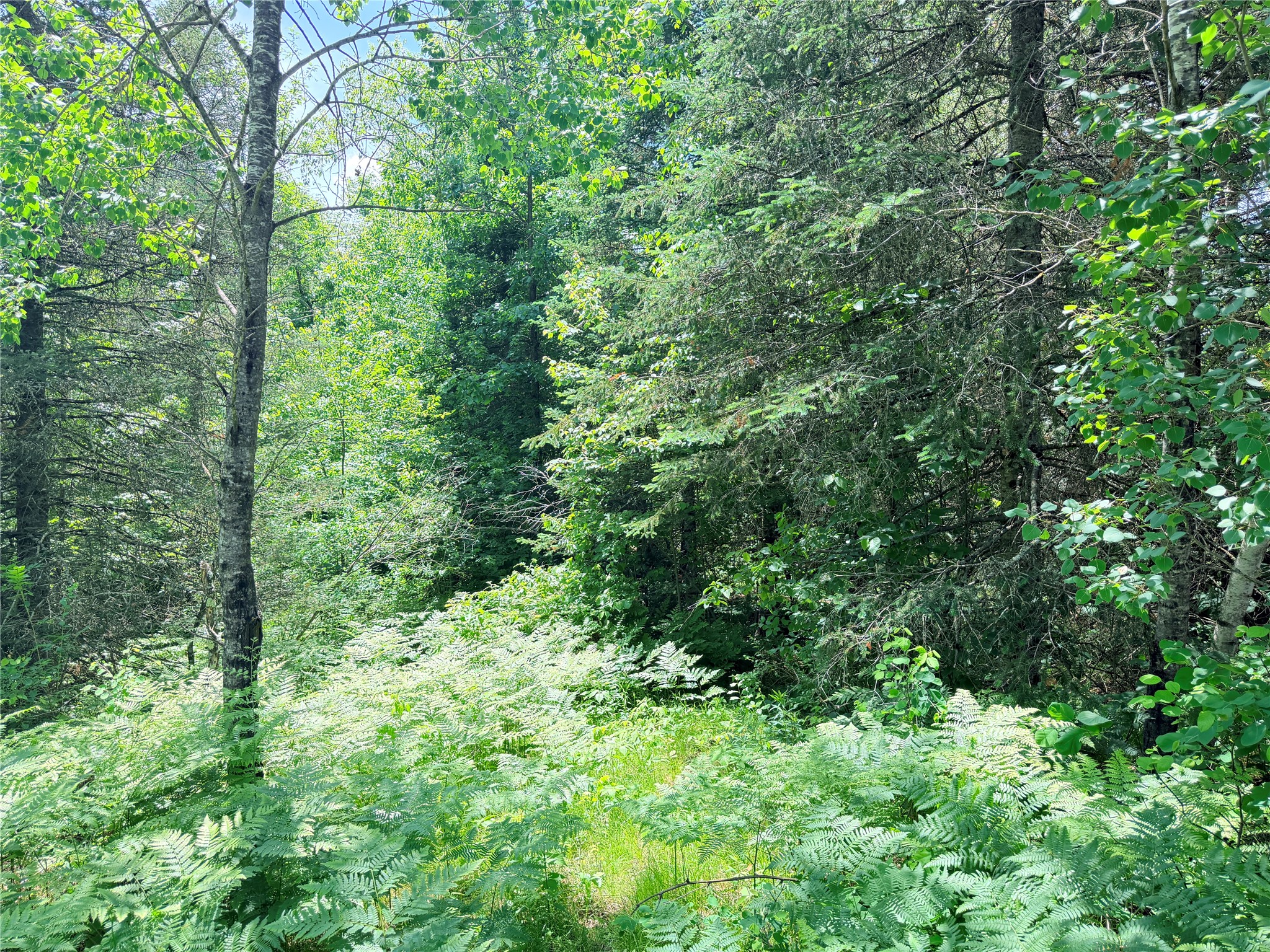 Lot 5 Boat Landing Road Property Photo 3