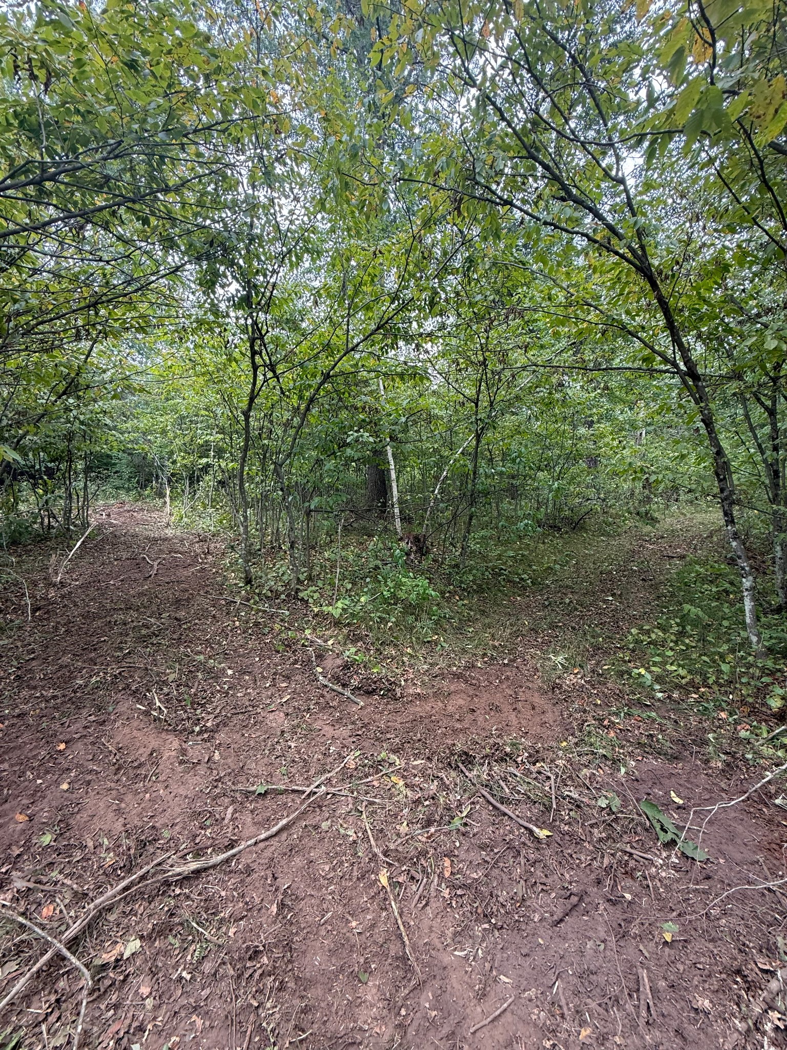 Lot 5 Boat Landing Road Property Photo 4