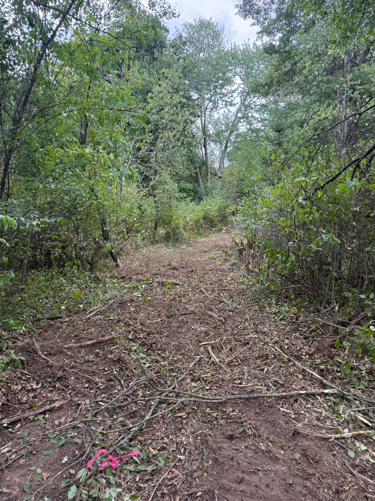 Lot 5 Boat Landing Road Property Photo 7