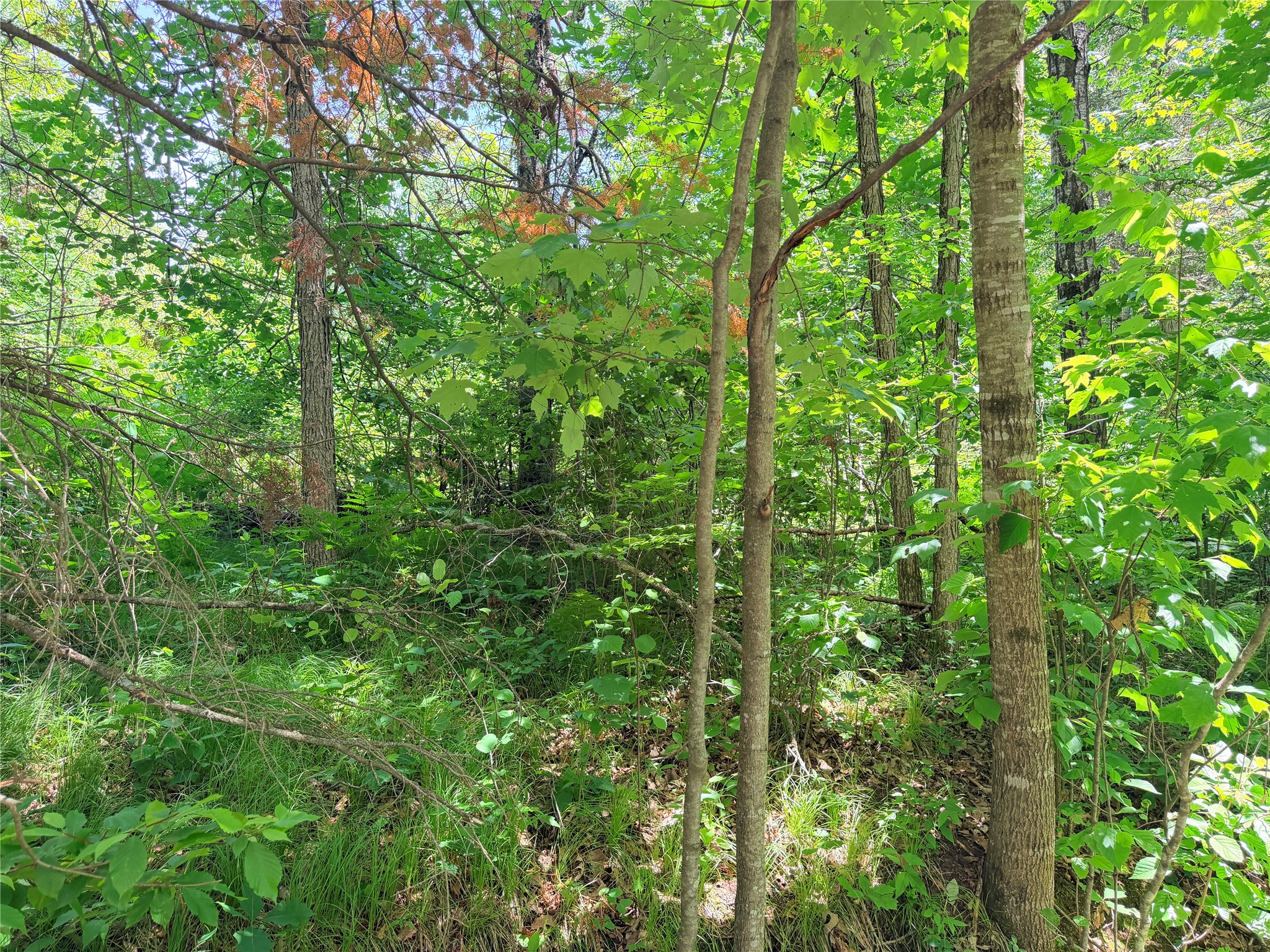 Lot 5 Boat Landing Road Property Photo 8
