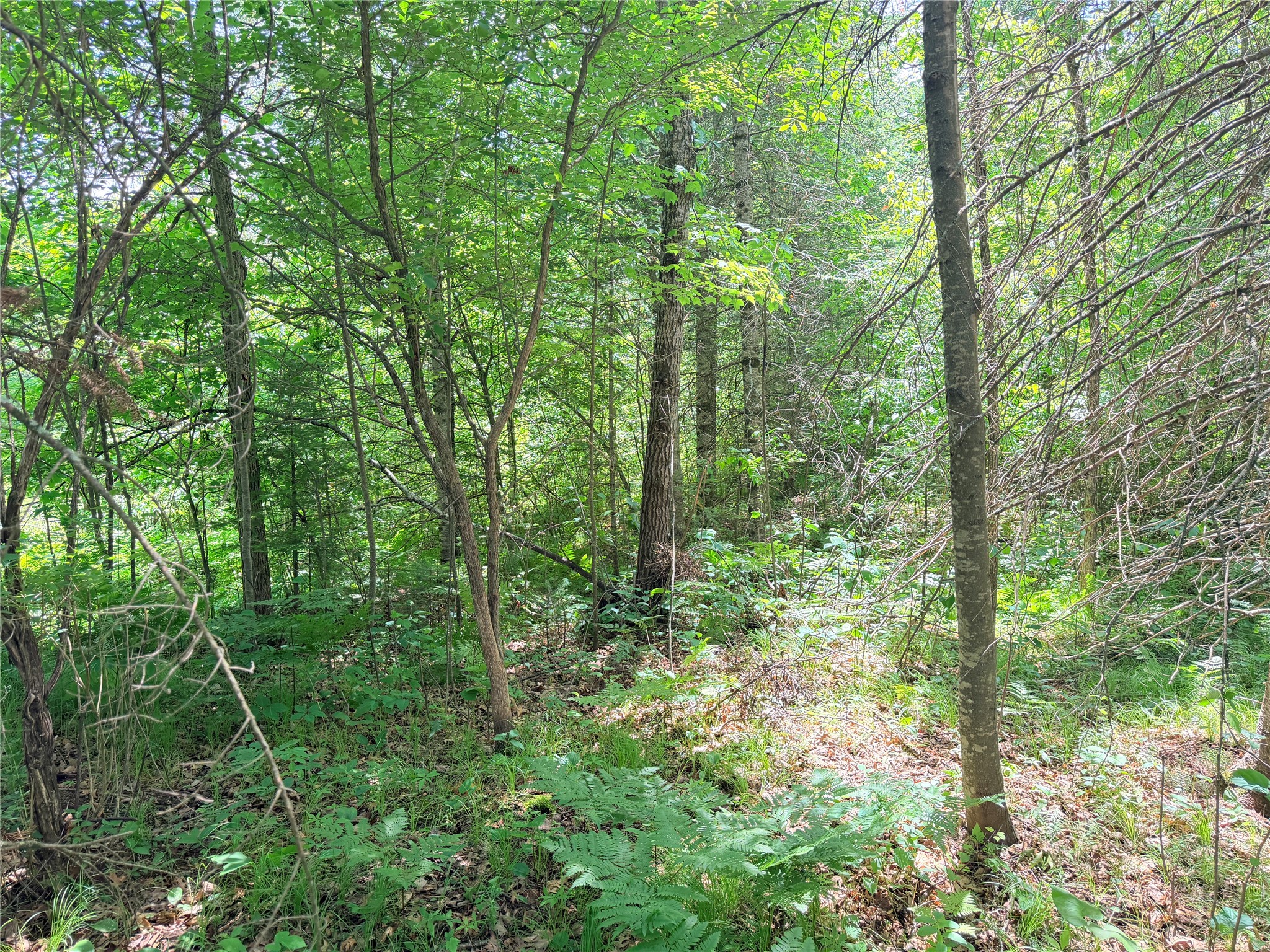 Lot 5 Boat Landing Road Property Photo 10