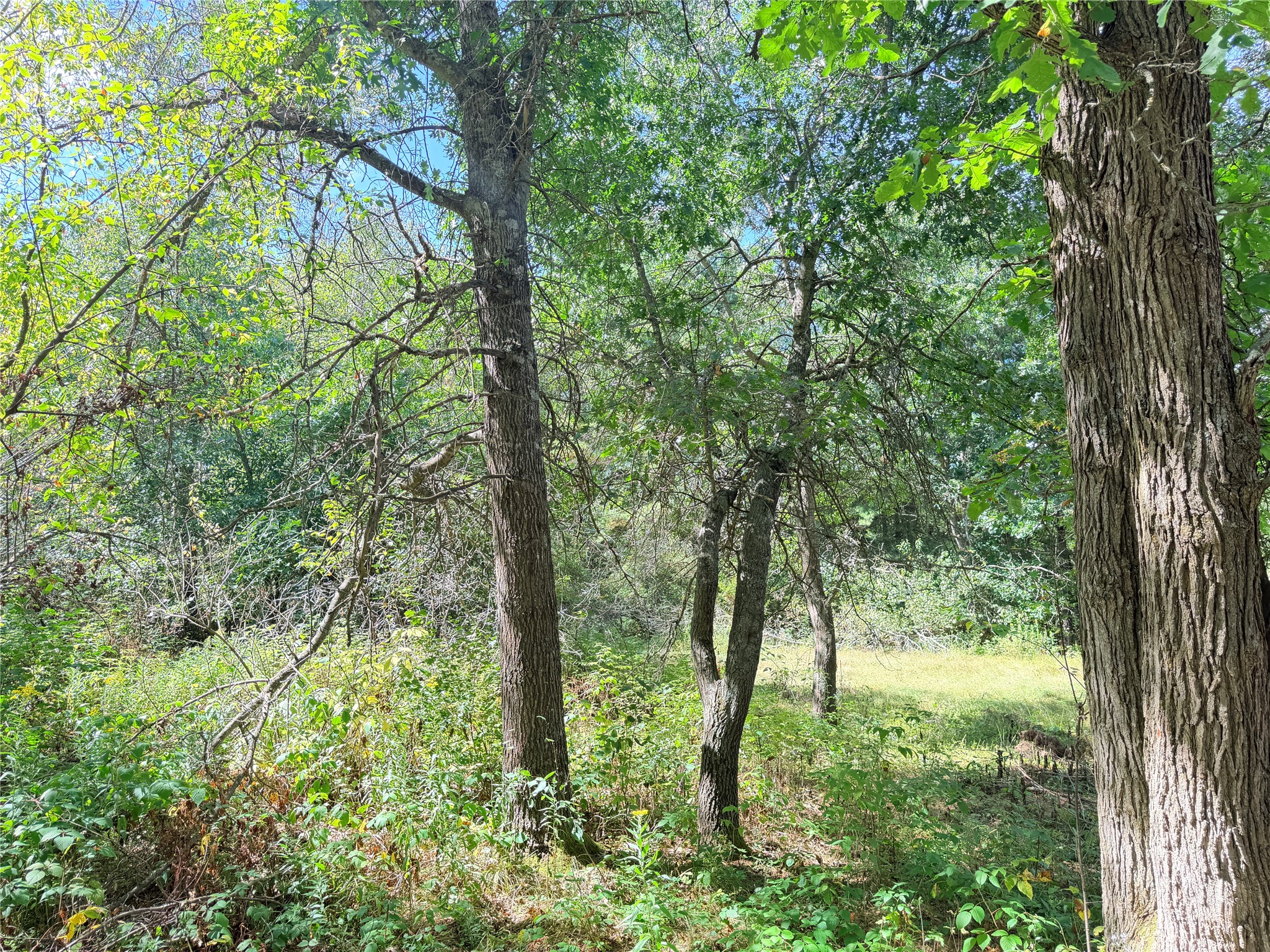 0 Peterson Road Property Photo 17