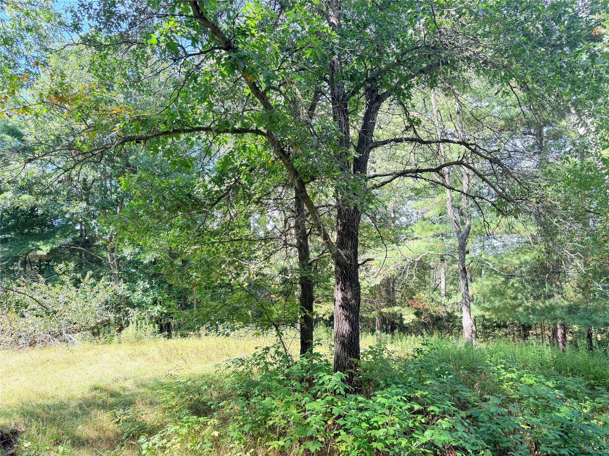 0 Peterson Road Property Photo 18