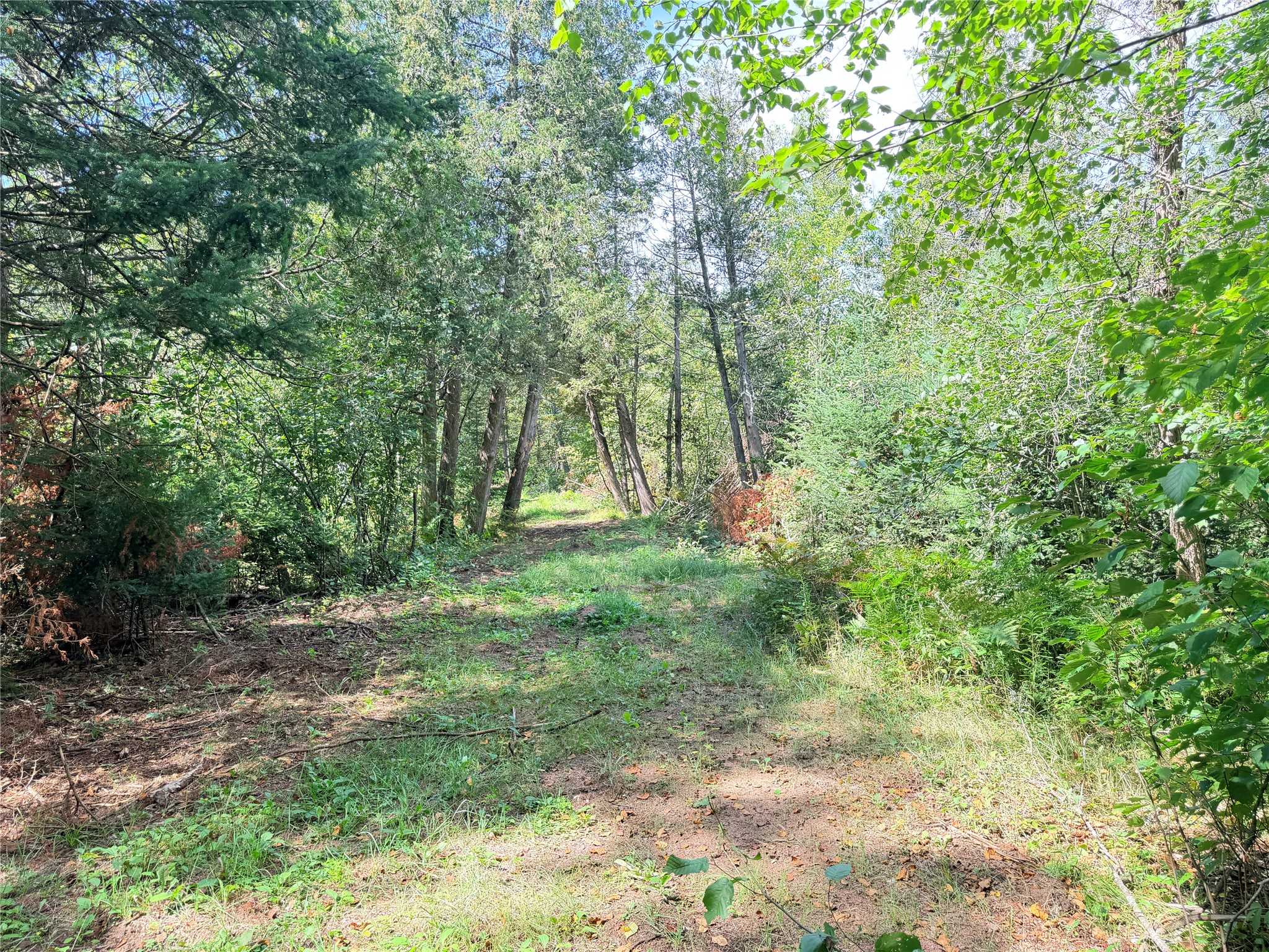 0 Peterson Road Property Photo 21