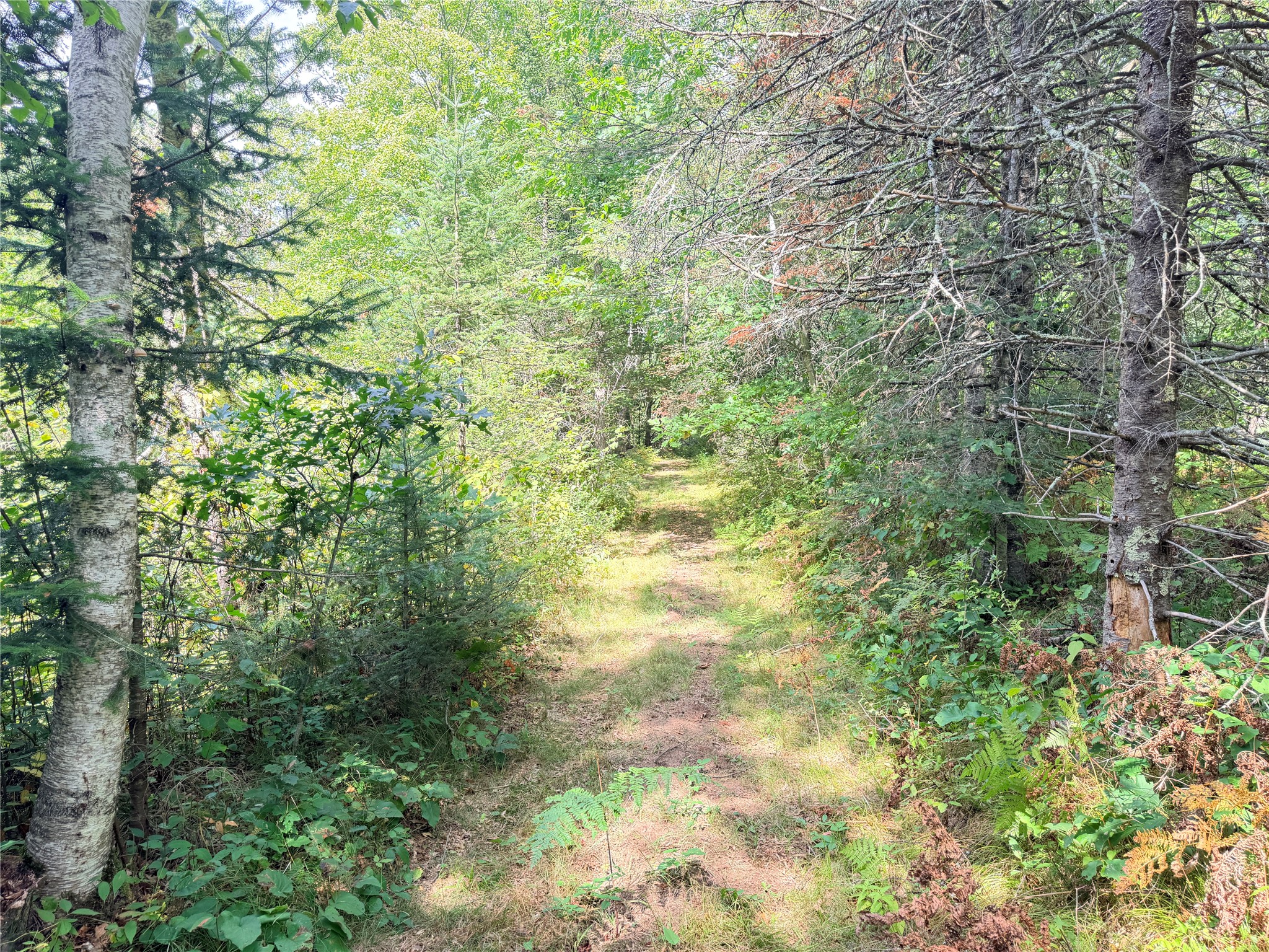 0 Peterson Road Property Photo 46