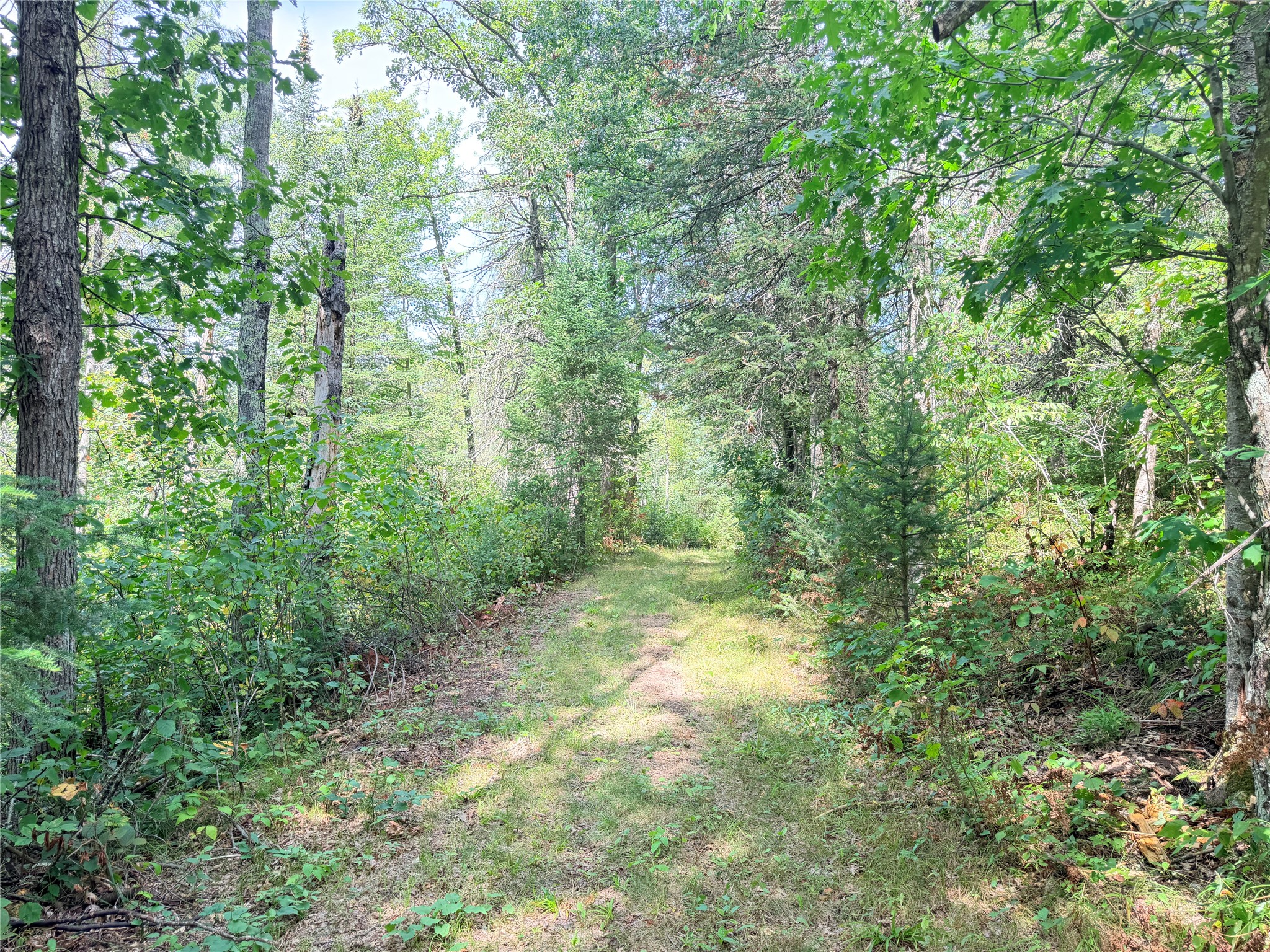 0 Peterson Road Property Photo 47