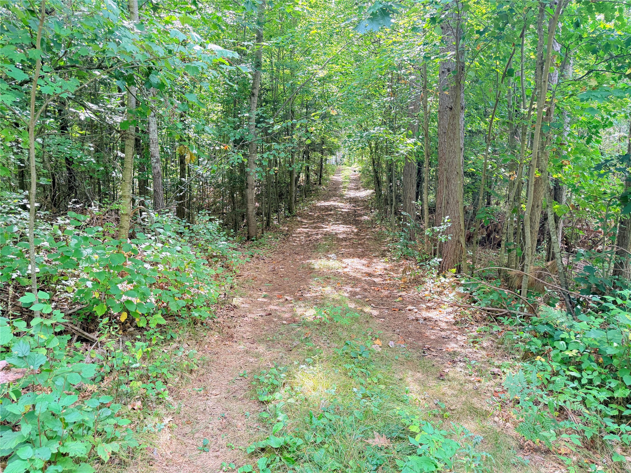 0 Peterson Road Property Photo 54