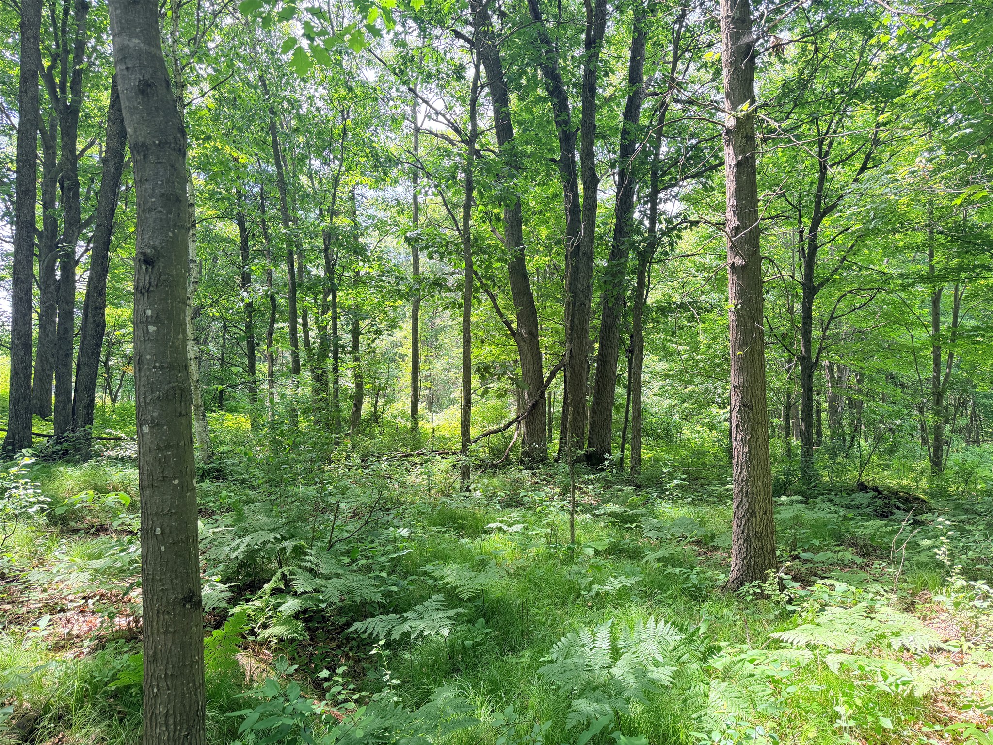 10 Acres Peterson Road