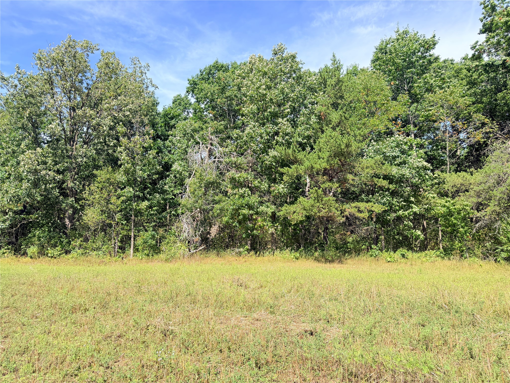 10 Acres Peterson Road Property Photo 7