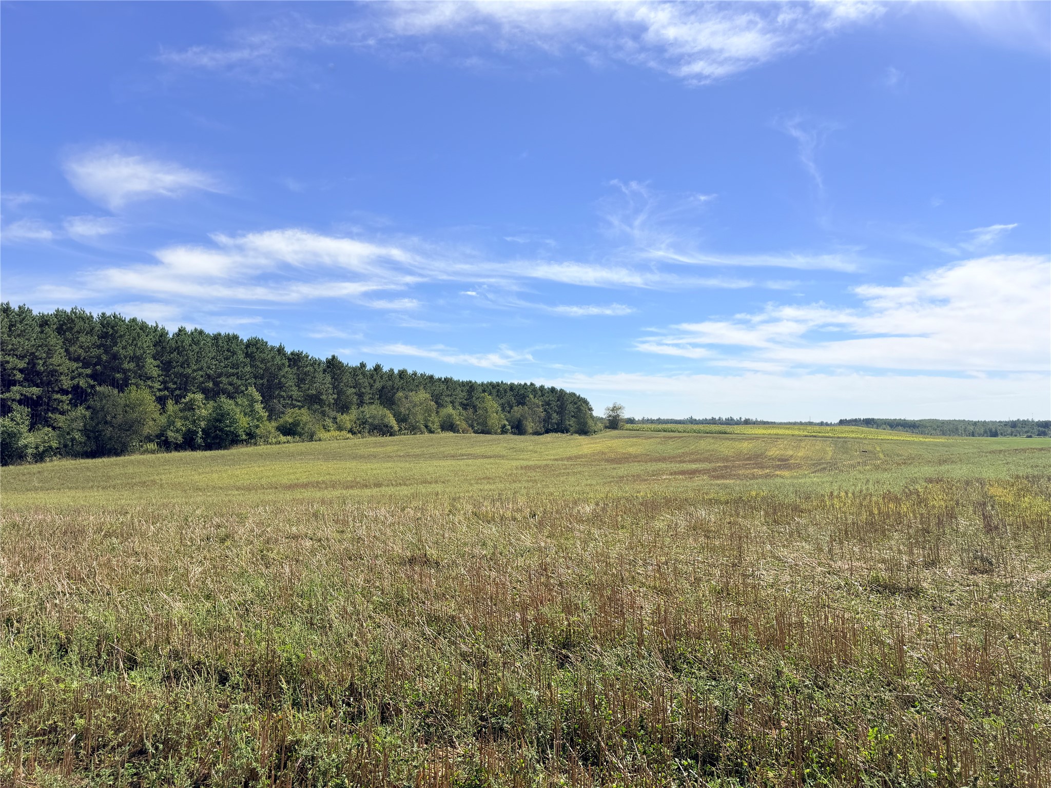 10 Acres Peterson Road Property Photo 13