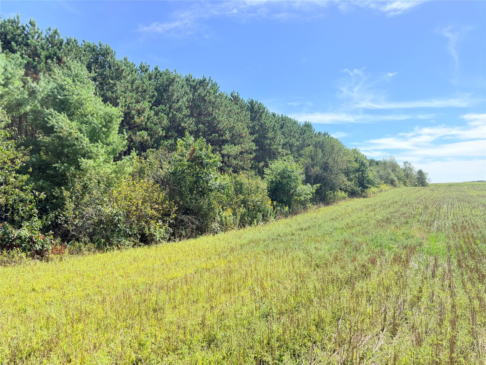 10 Acres Peterson Road Property Photo 15