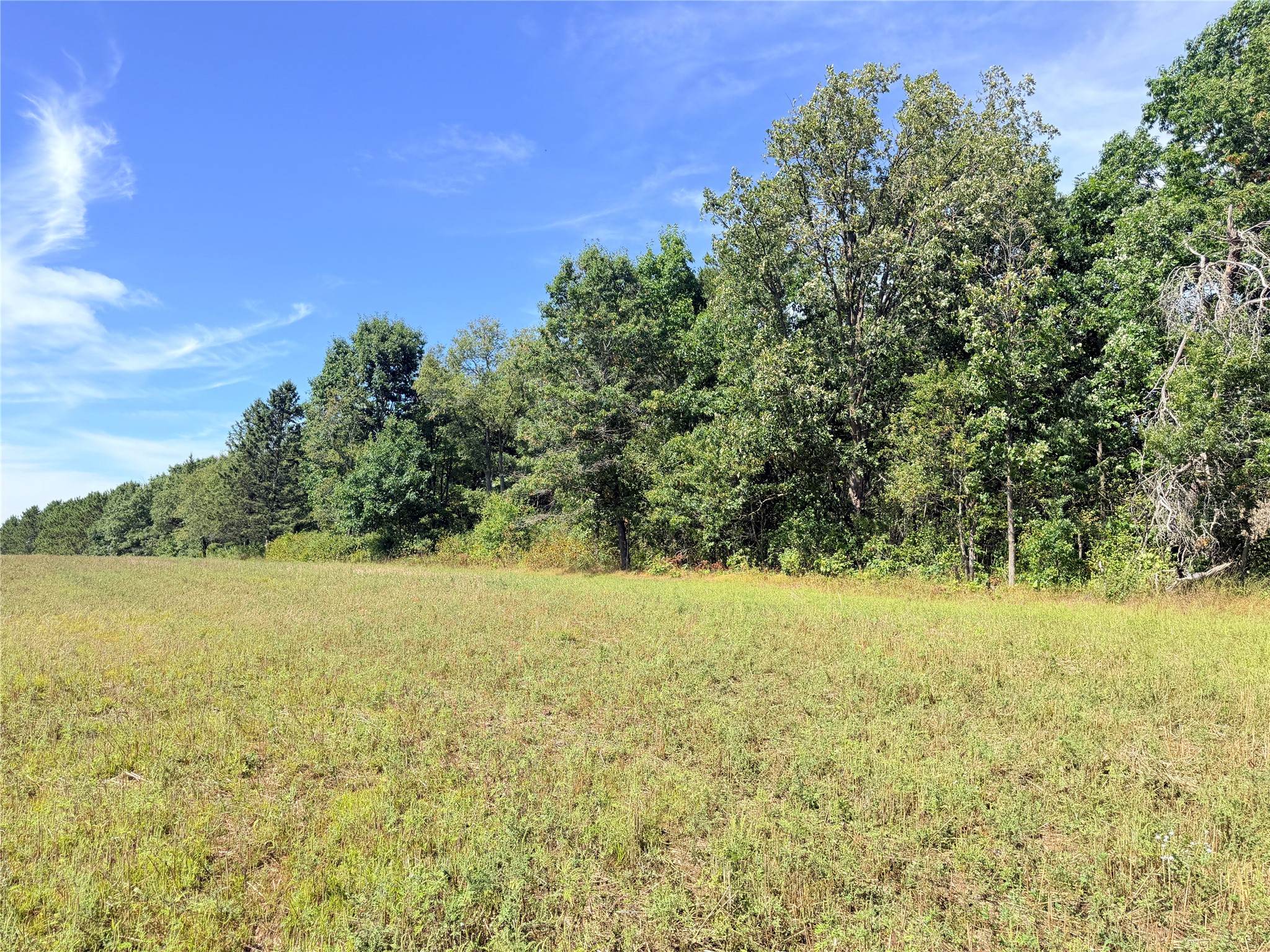 10 Acres Peterson Road Property Photo 18