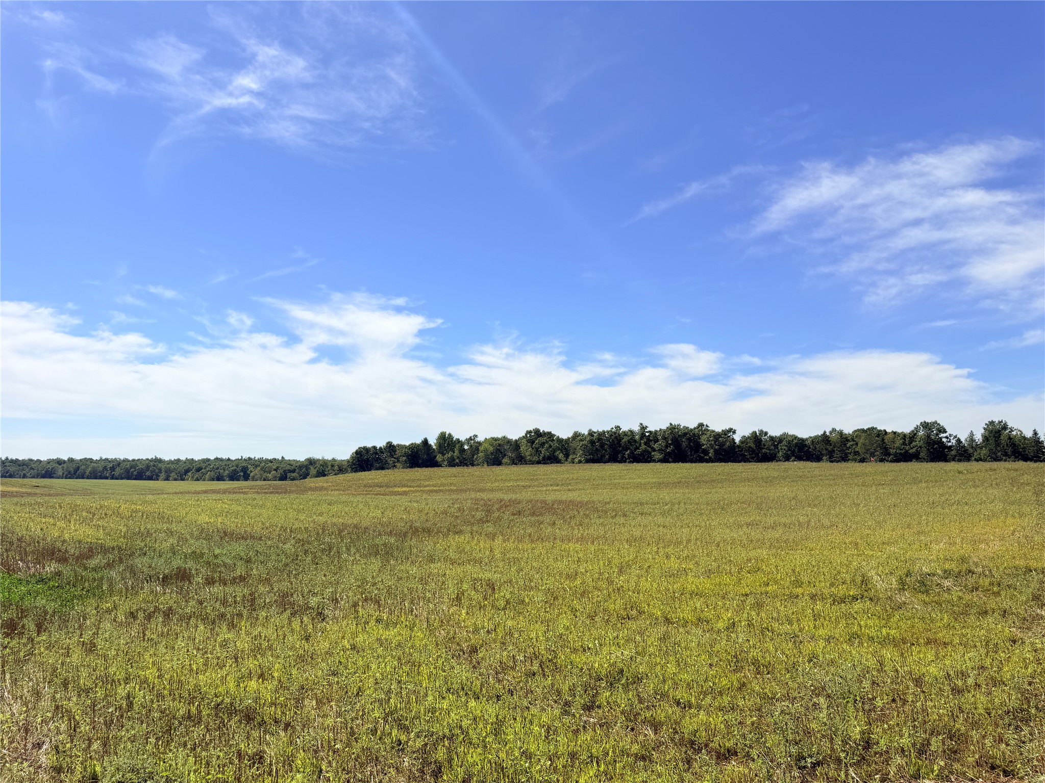 10 Acres Peterson Road Property Photo 19
