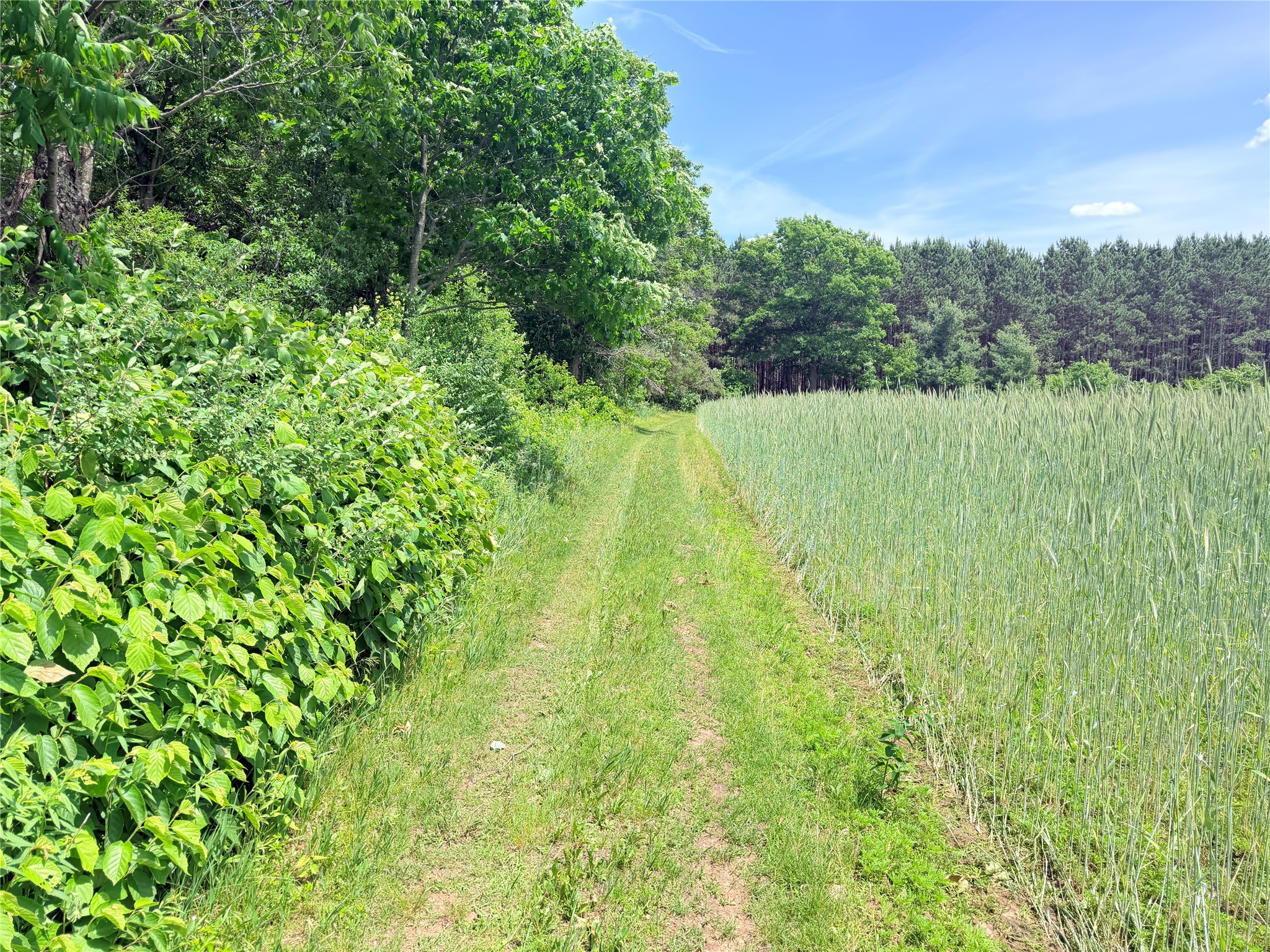 10 Acres Peterson Road Property Photo 24