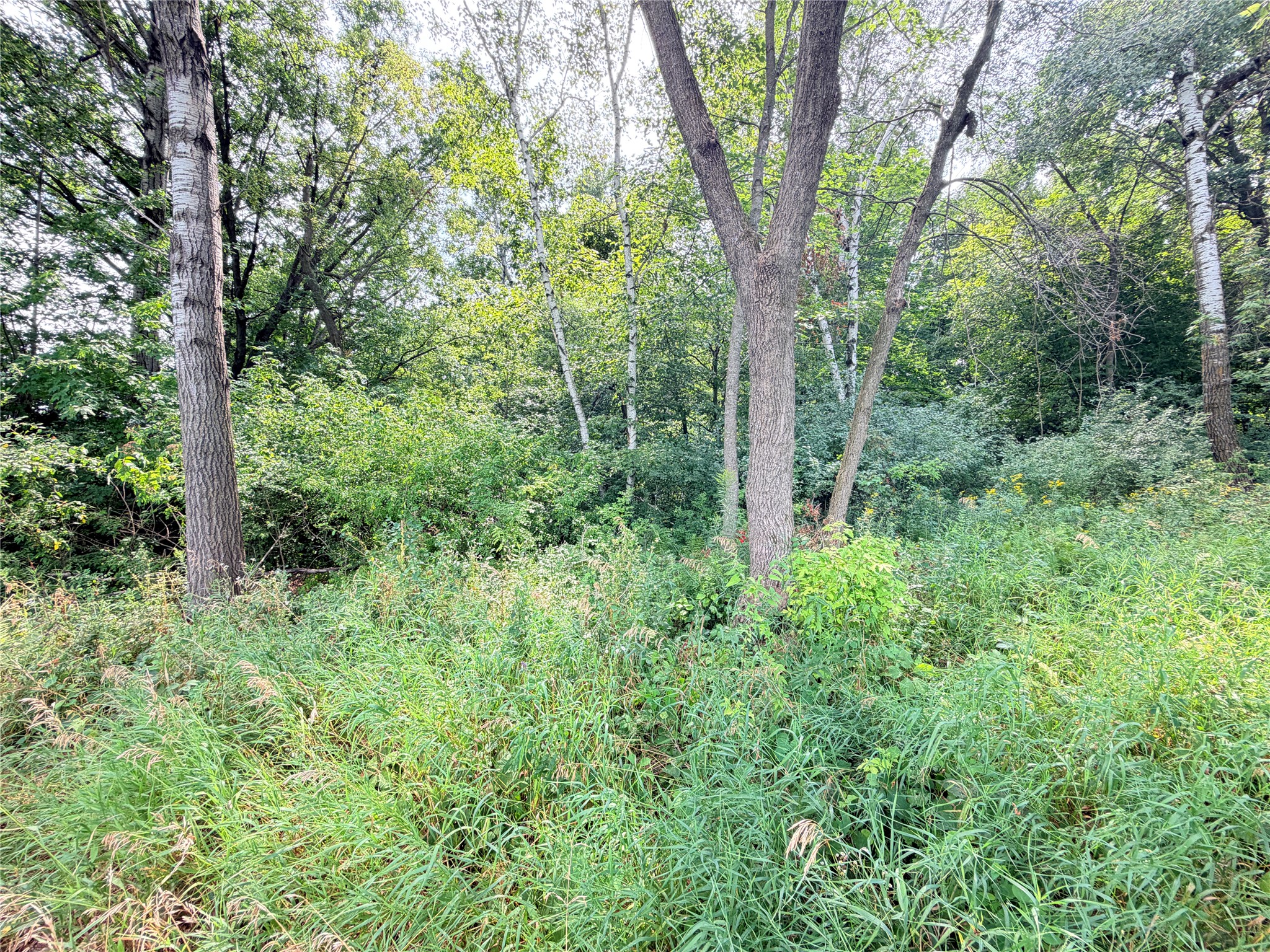 0 230th Street Property Photo 3