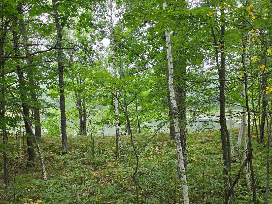 00 10 1/2-28 1/2 Property Photo 23