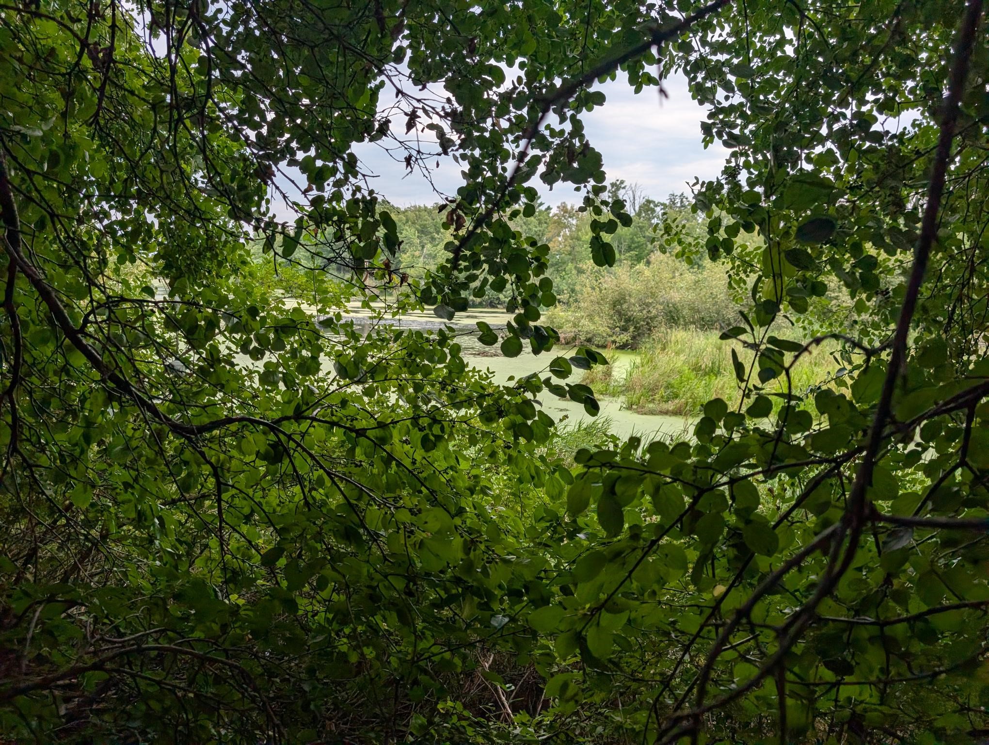 Xxx E Birch Avenue Property Photo 2