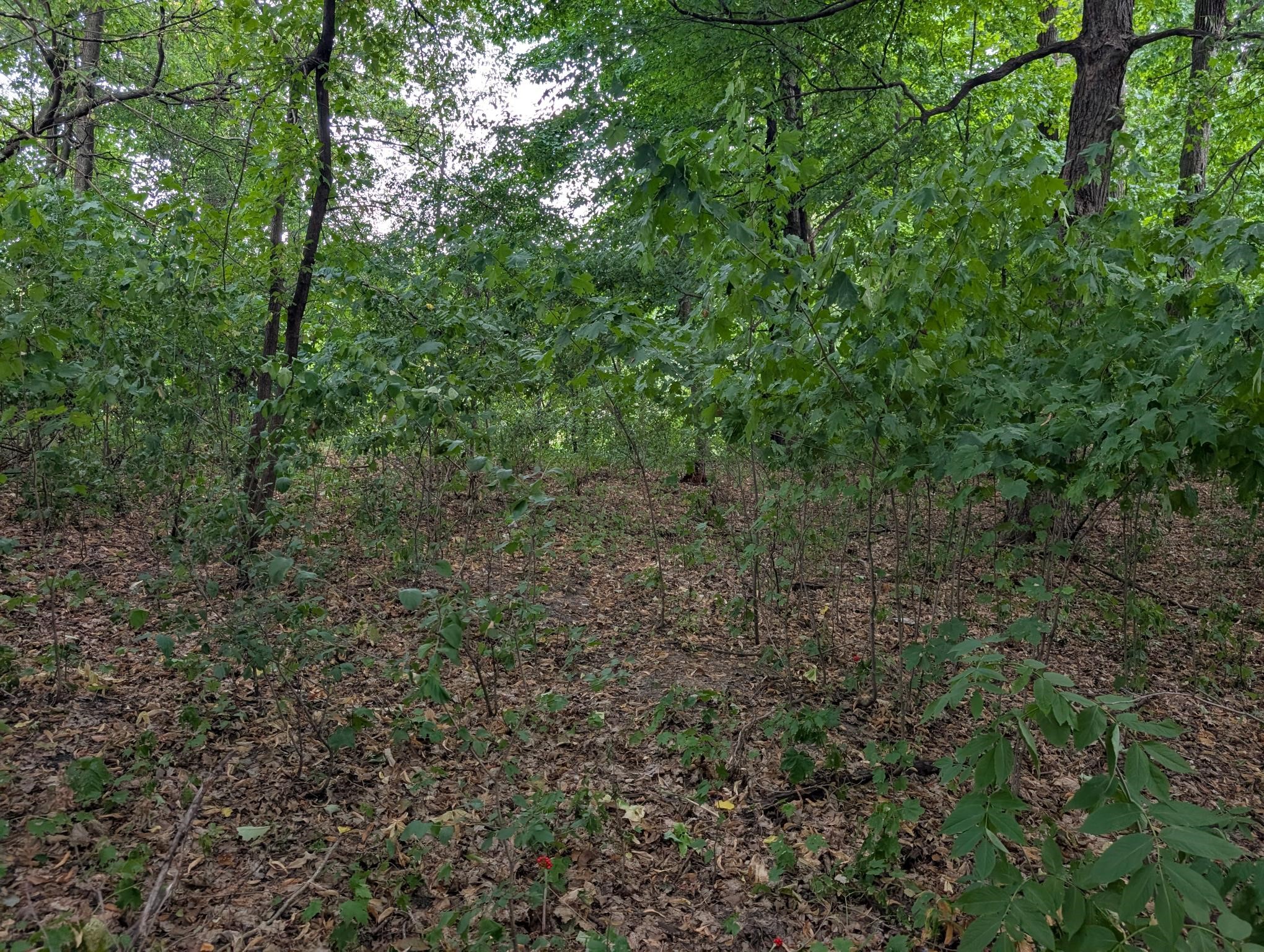 Xxx E Birch Avenue Property Photo 4