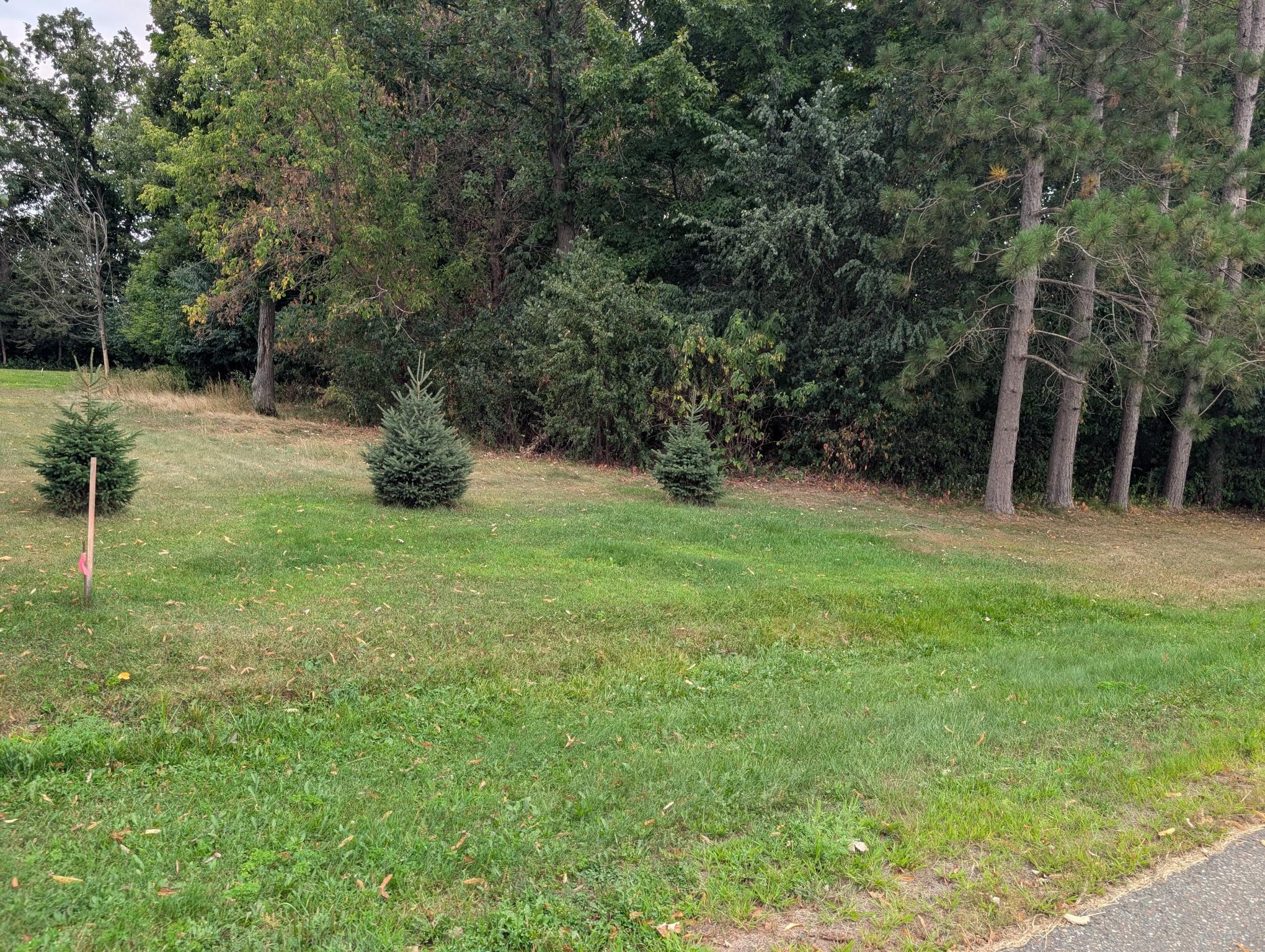 Xxx E Birch Avenue Property Photo 7