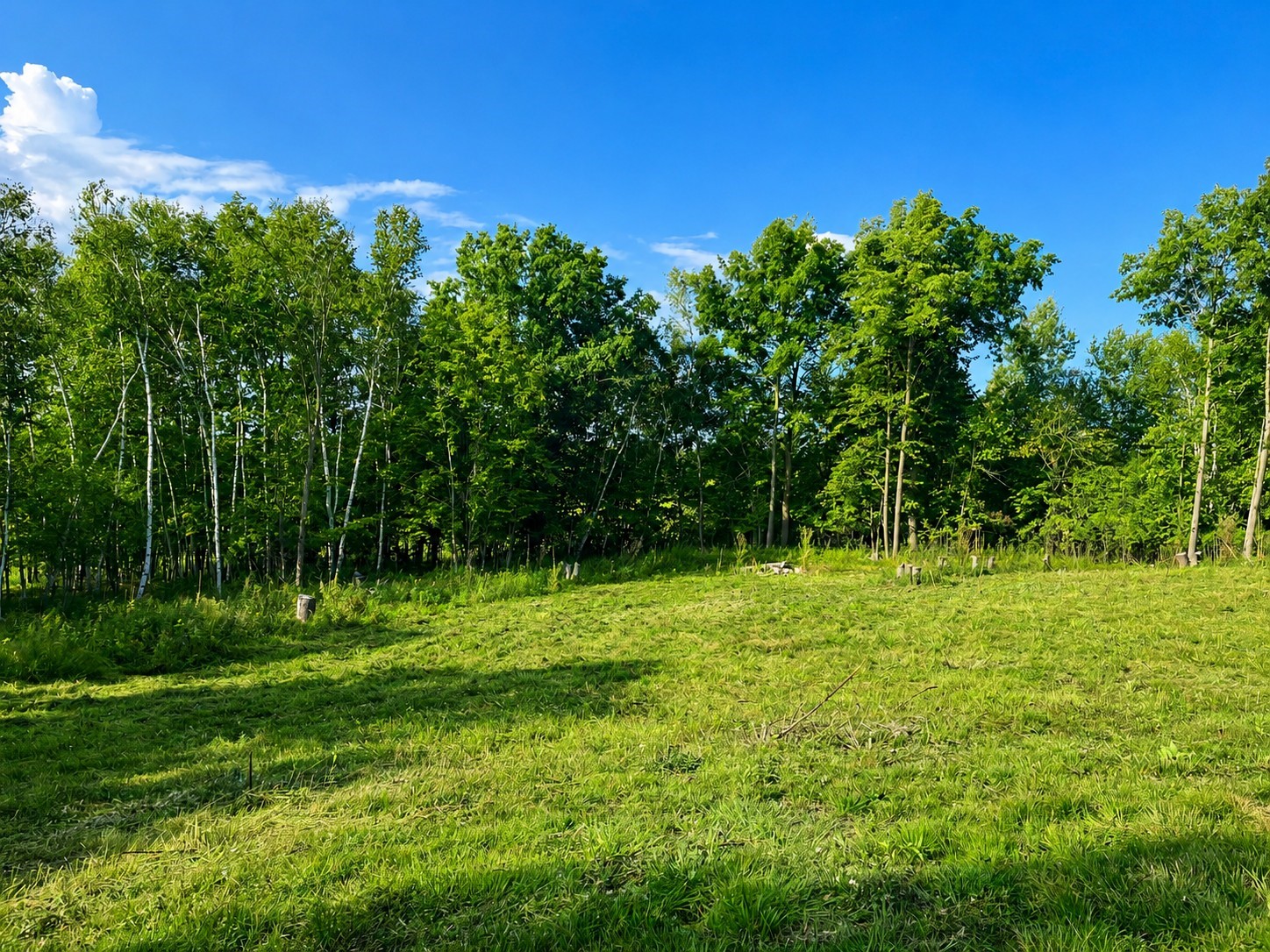 110 90th Avenue Property Photo 5