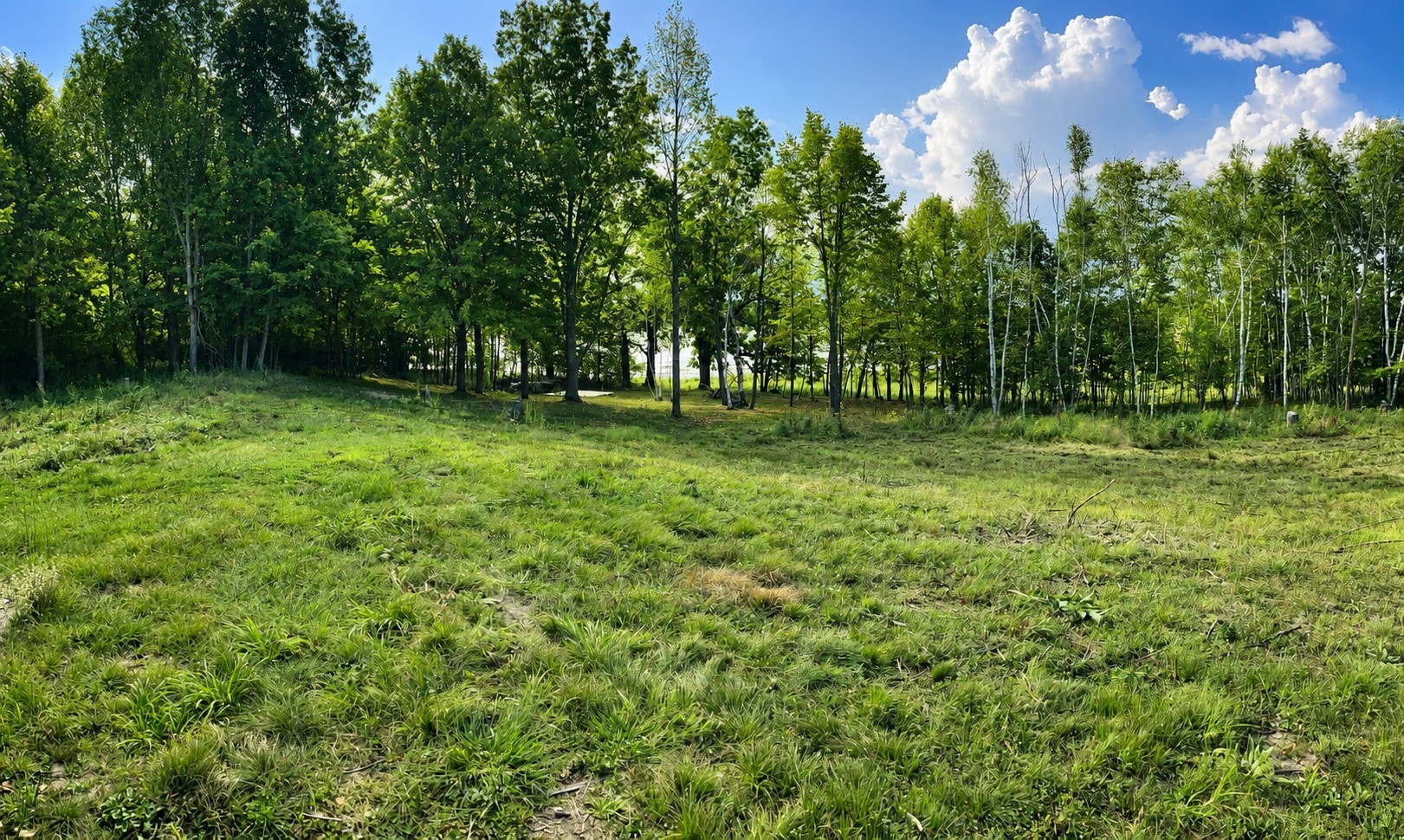 110 90th Avenue Property Photo 6