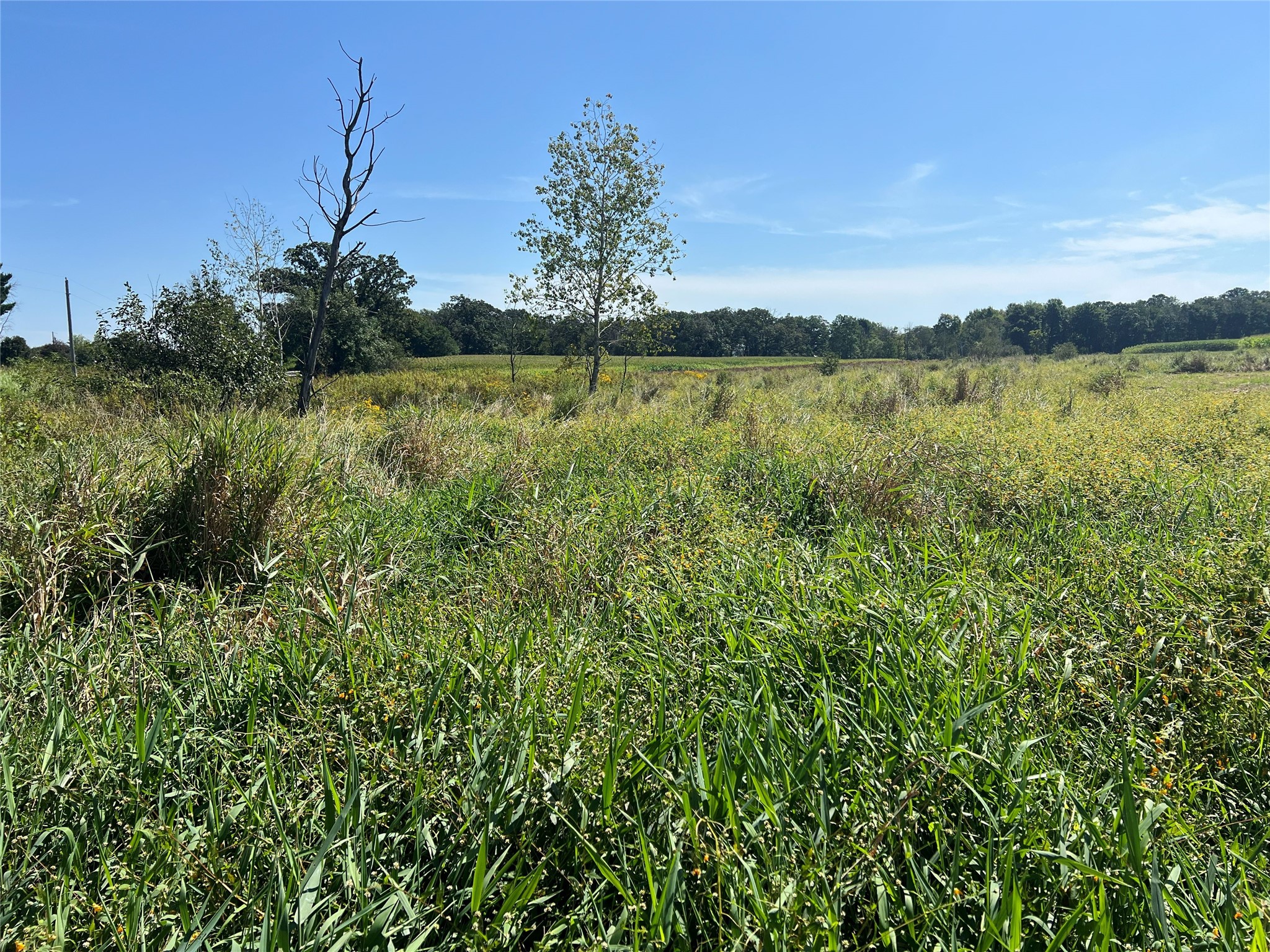 14207 Holmes Road Property Photo 45