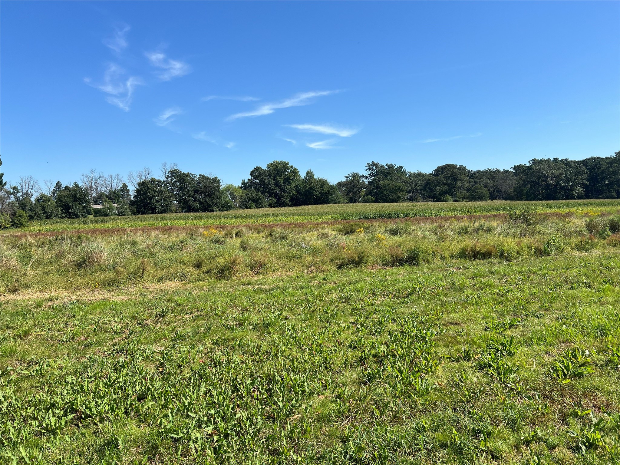14207 Holmes Road Property Photo 47