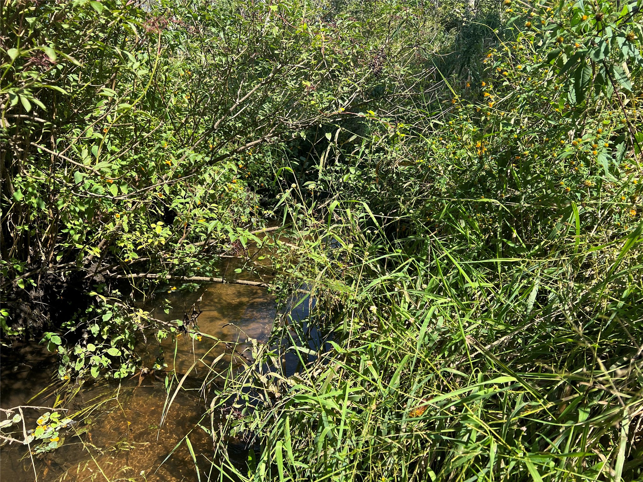 14207 Holmes Road Property Photo 48