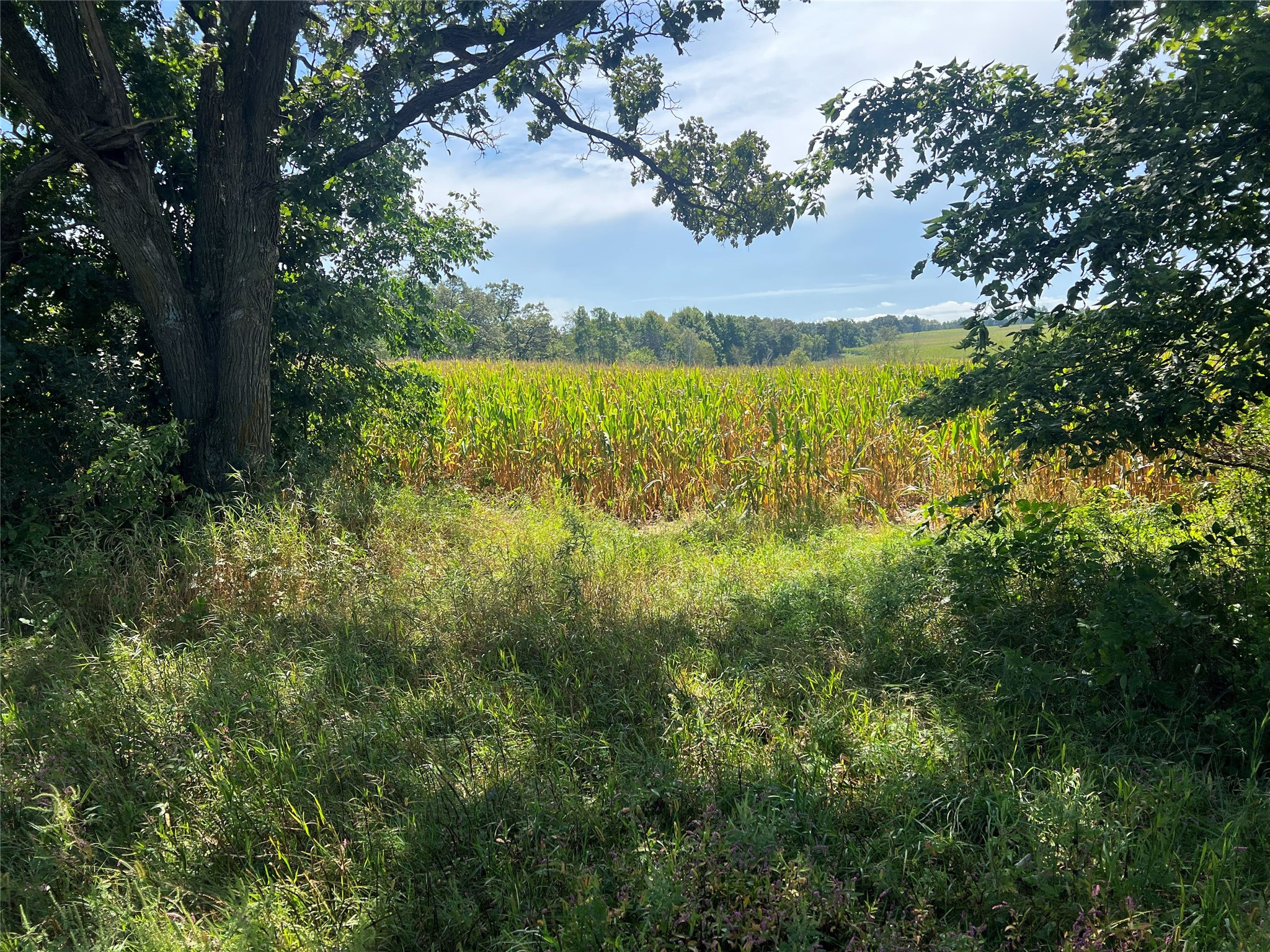 14207 Holmes Road Property Photo 49