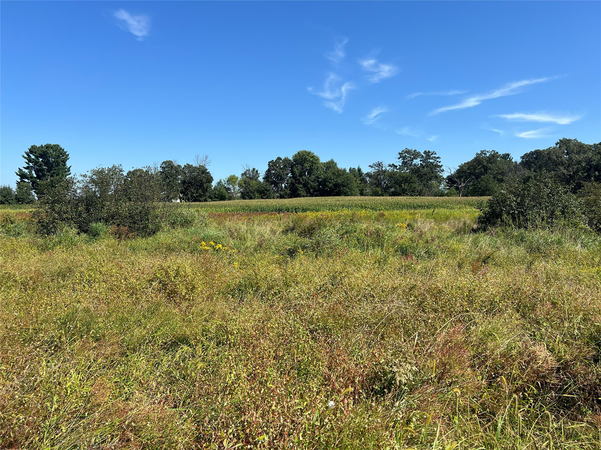 14207 Holmes Road Property Photo 50