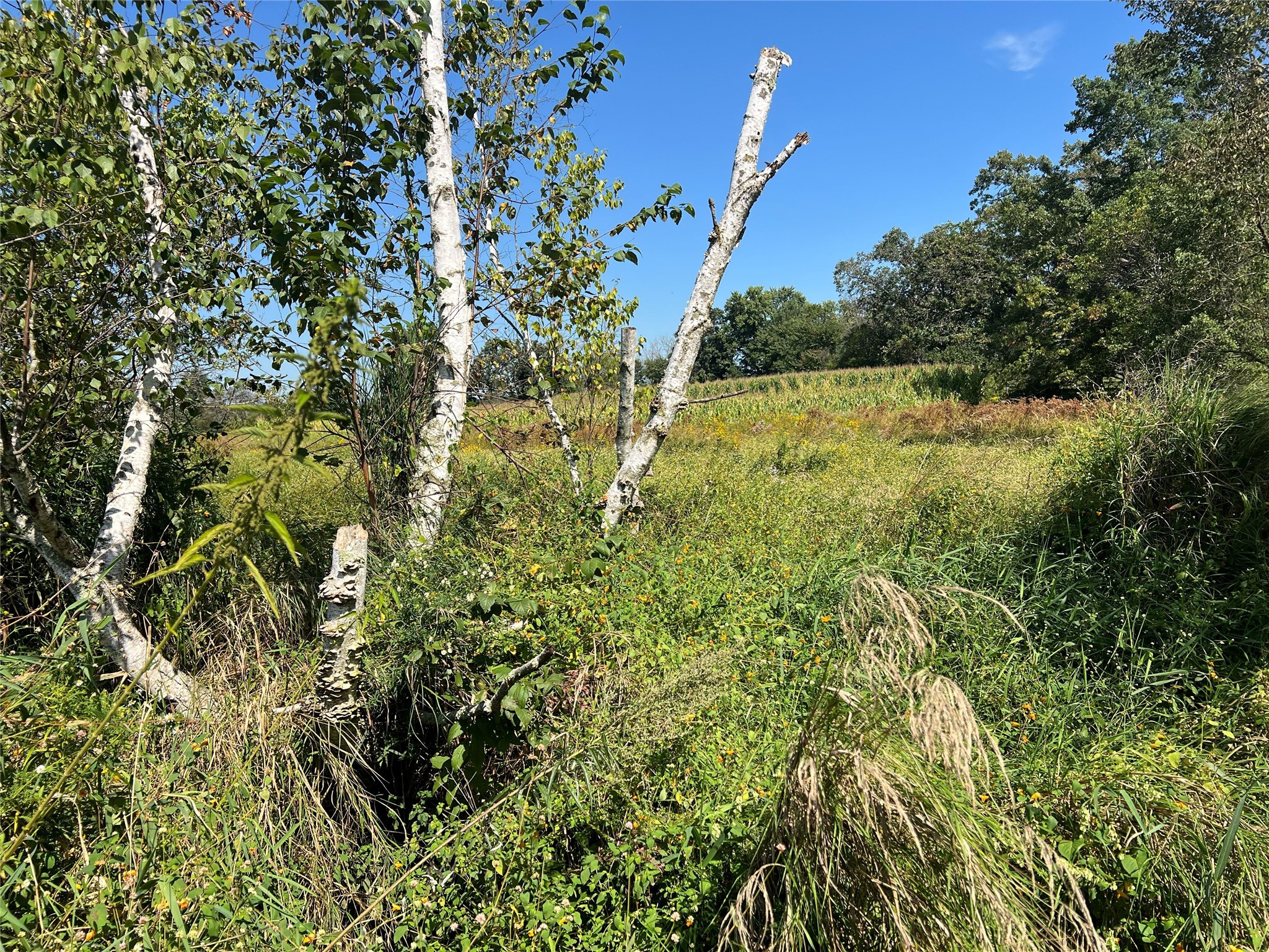 14207 Holmes Road Property Photo 51