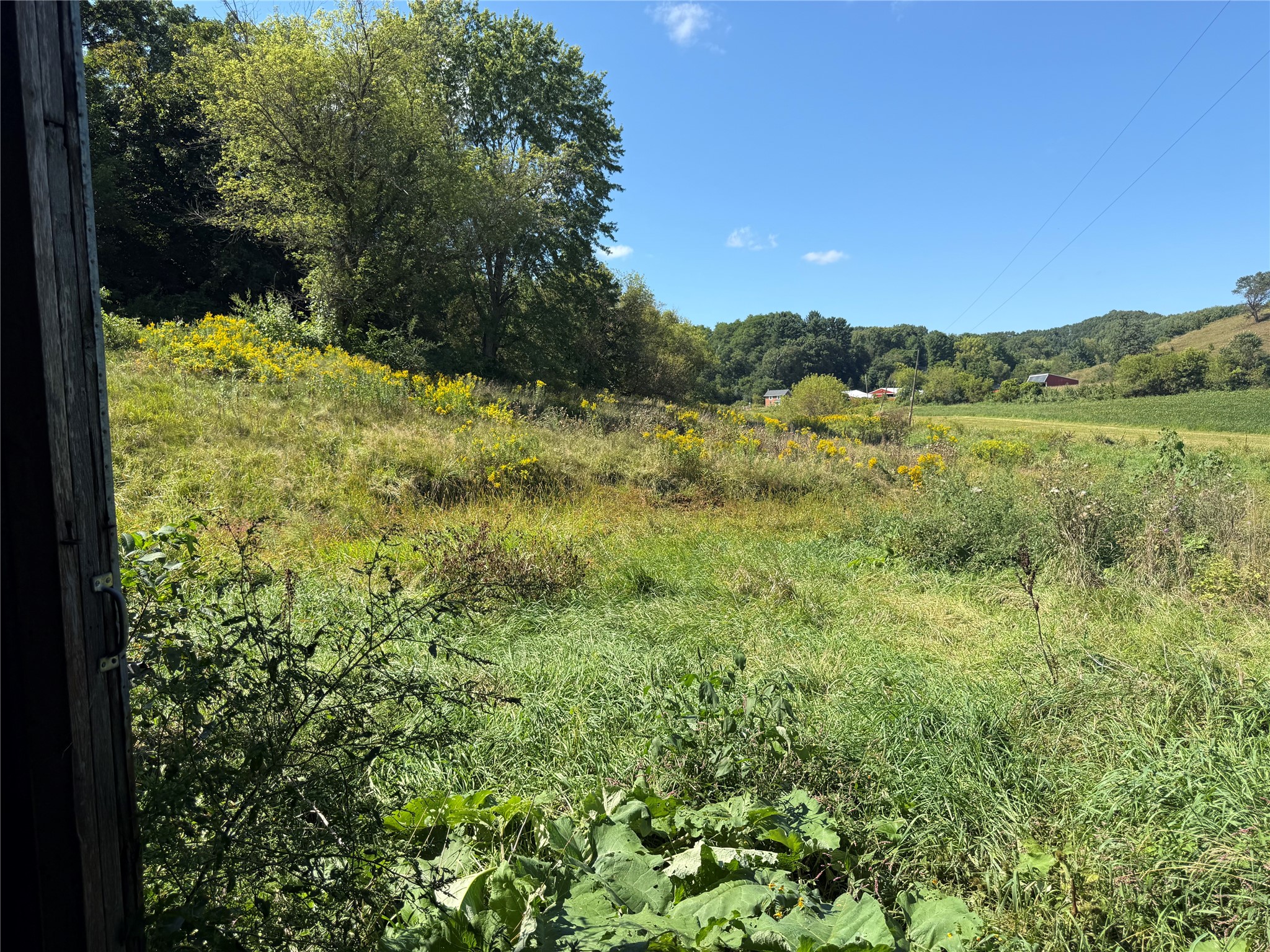 W28324 Rainey Valley Road Property Photo 12