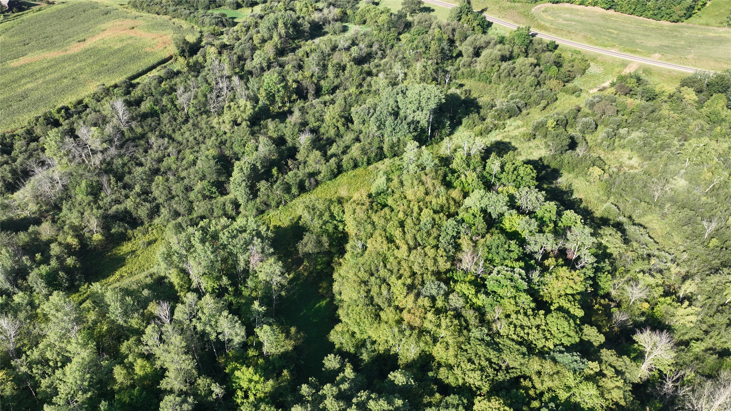 Xx County Rd O Property Photo 5