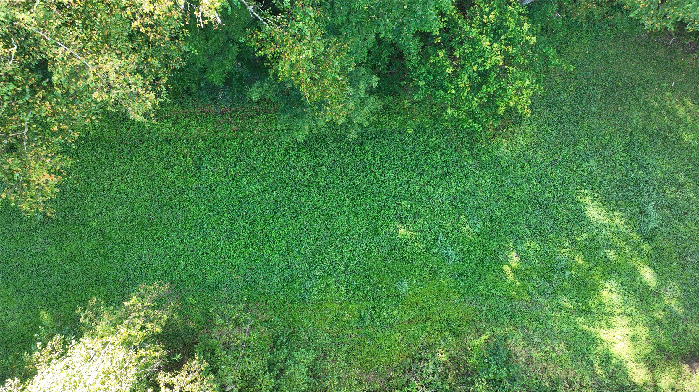 Xx County Rd O Property Photo 12