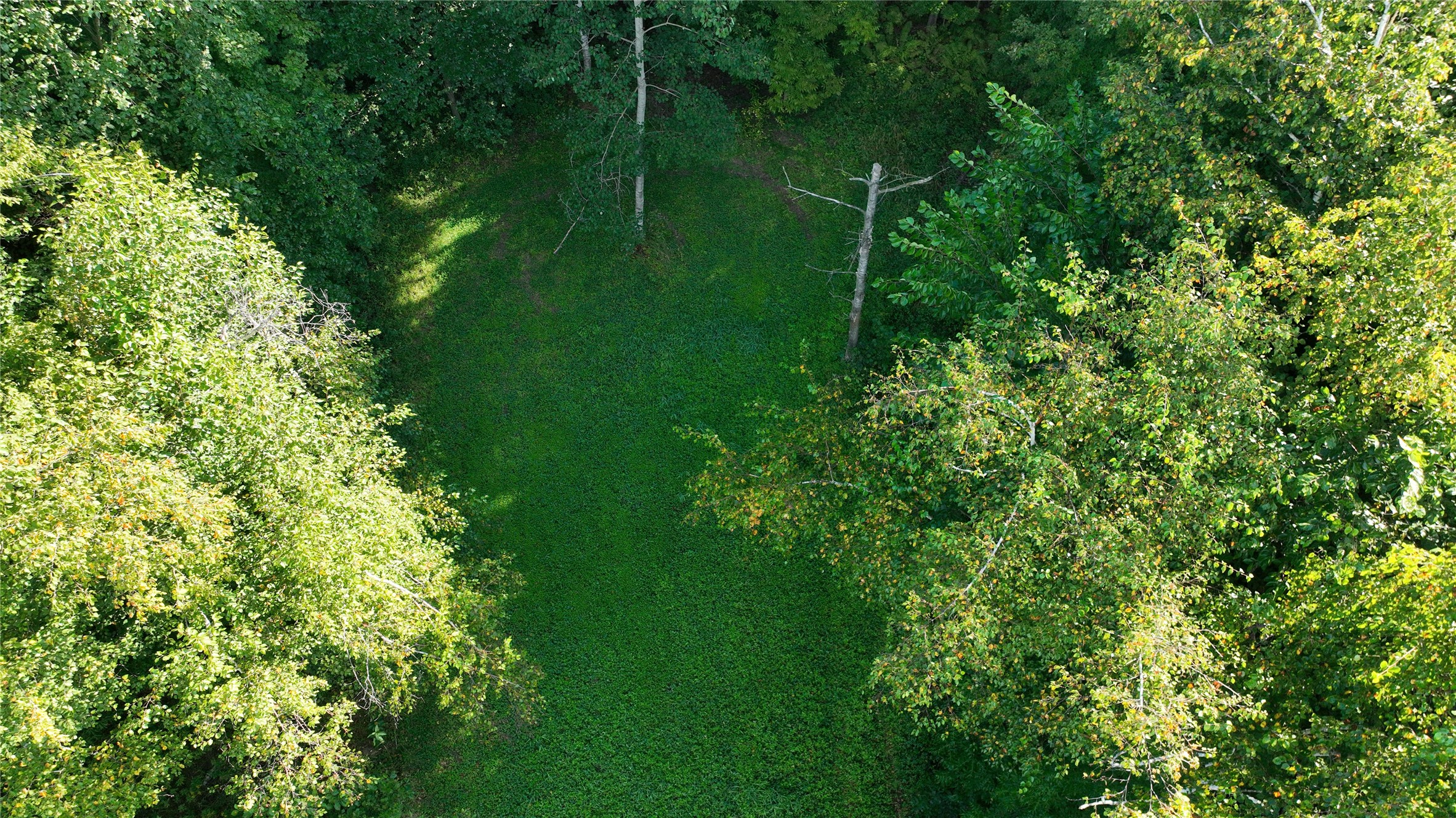 Xx County Rd O Property Photo 13