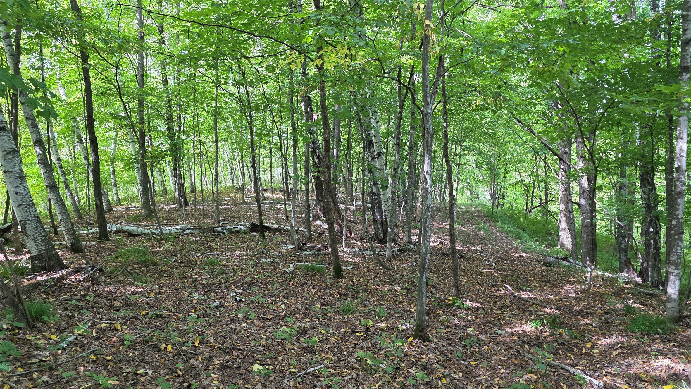 Xx County Rd O Property Photo 36