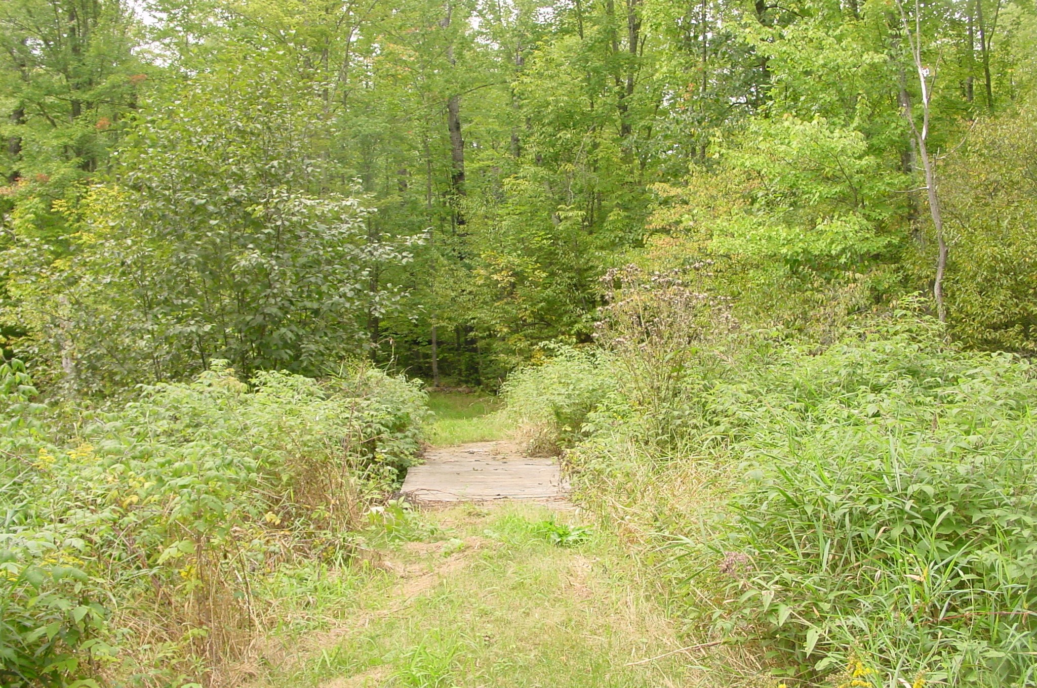 N5391 Hwy. 73 Property Photo 24
