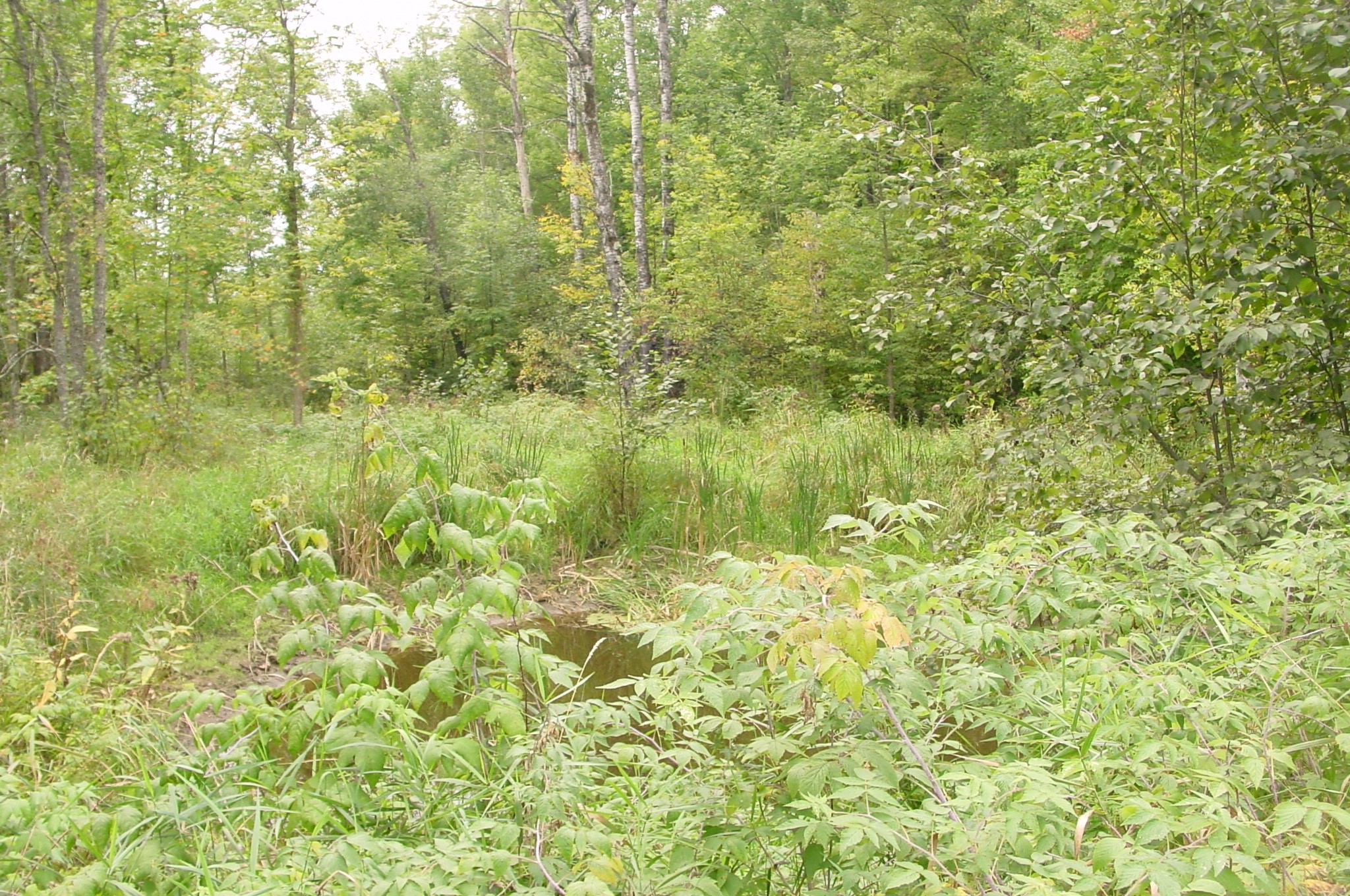 N5391 Hwy. 73 Property Photo 25