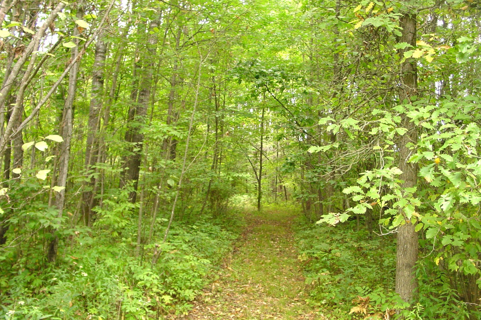 N5391 Hwy. 73 Property Photo 28